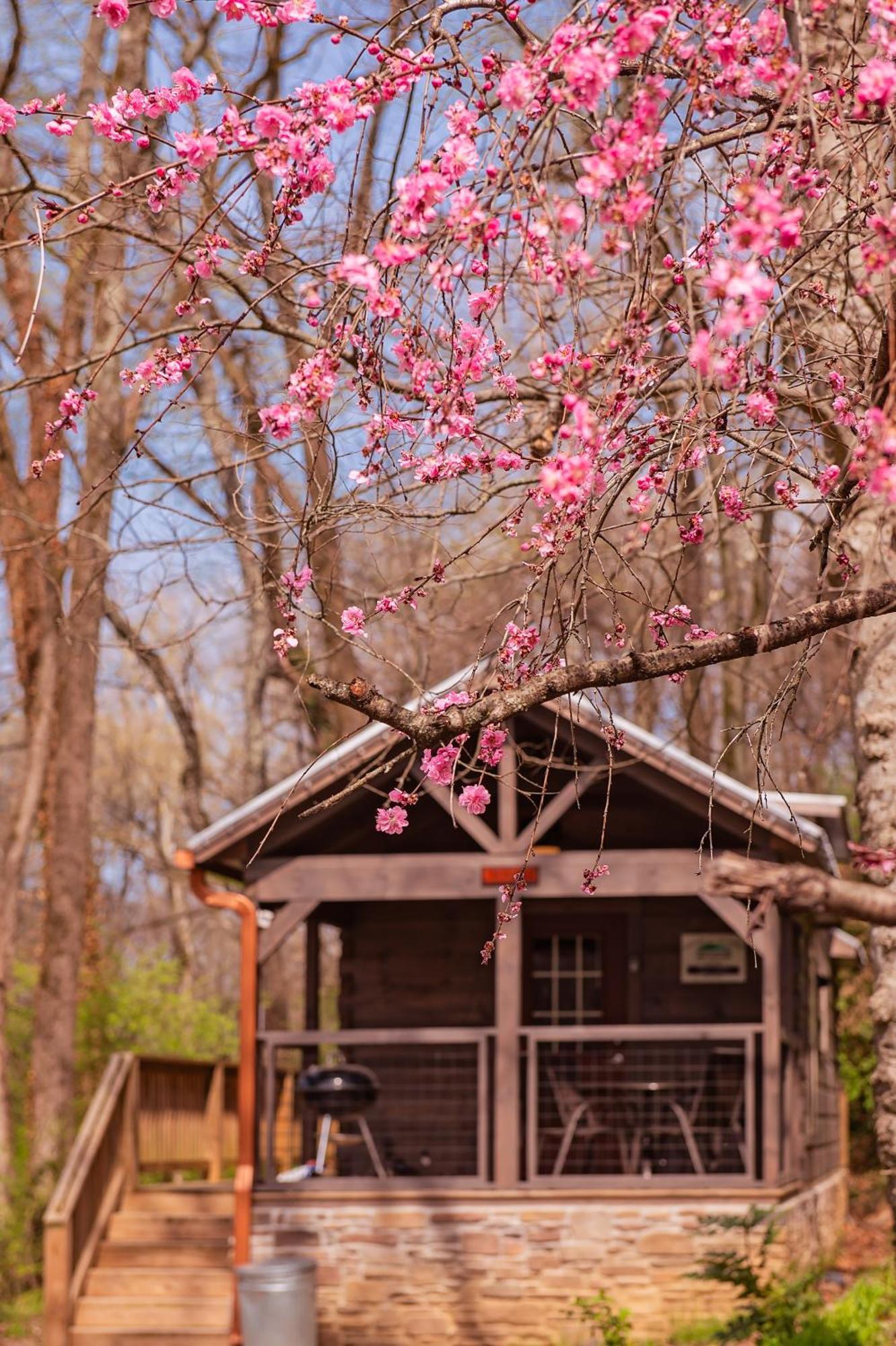 Ryon Tiny Home Cabin City-Side Rustic Retreat Chattanooga Exterior foto